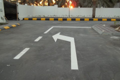 Picture12